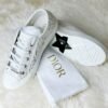Dior Shoes