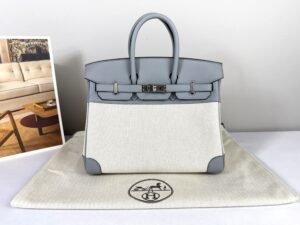 Hermès Gris Pantin Birkin 25 Canvas with Palladium Hardware