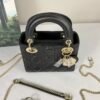 Mini Lady Dior Bag with Chain