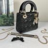 Mini Lady Dior Bag with Chain